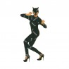 Disfarce de Catwoman